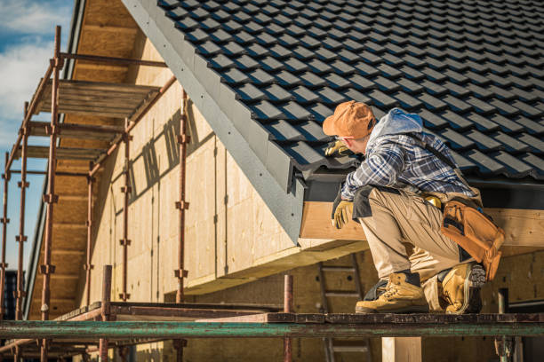 Best Skylights  in Fife, WA